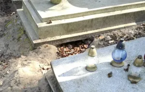 Zwierzę wykopało ludzkie kości na cmentarzu