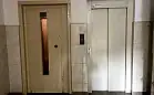 Nieszczęśliwy wypadek. Pies uduszony w windzie na Brodwinie