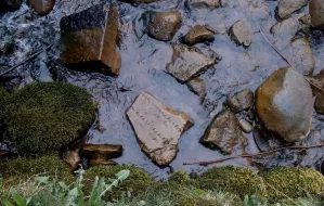 Fragmenty starych nagrobków w stawie w Oliwie