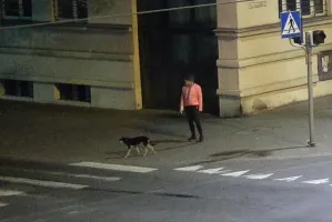 Zabrała czyjegoś psa spod sklepu. Złapała ją straż miejska