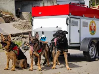 Wesprzyj zbiórkę na wóz dla psich ratowników