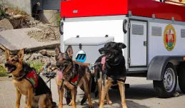 Wesprzyj zbiórkę na wóz dla psich ratowników