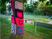 Żabianka: tajemnicze swetry na drzewach