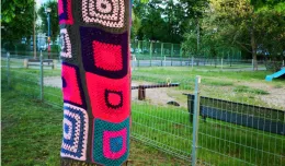 Żabianka: tajemnicze swetry na drzewach