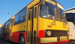 Gdynia: zabytkowy autobus Ikarus na linii 125, która kończy 60 lat