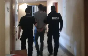 27-latek kopnął 70-latkę z Gdyni w plecy i ukradł jej torebkę