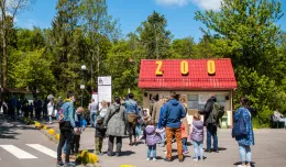 700 osób do zoo. Ogród zwiększa limit wejść