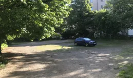 Park zamiast parkingu w centrum Gdyni