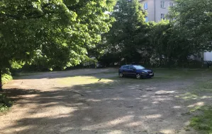Park zamiast parkingu w centrum Gdyni