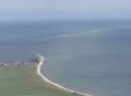 Śledzie pomaszerują przez Zatokę