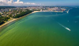 Sinice, przecinkowce. Czy kąpiel w morzu jest bezpieczna?