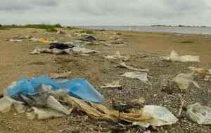 Plaża w rezerwacie przyrody "Mewia Łacha" pełna śmieci
