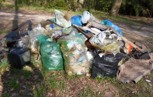 Pięć ton śmieci zebrali w Trójmiejskim Parku Krajobrazowym