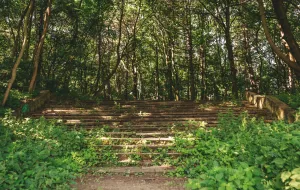 Powstaną nowe schody do parku i punktu widokowego na Aniołkach