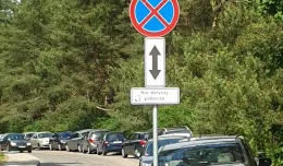 Kuriozalne znaki ułatwiają parkowanie w lesie