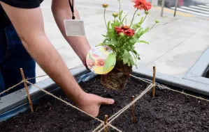 Zasadź swoją roślinę w ogródku przed Muzeum Miasta Gdyni