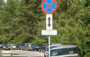 Kuriozalne znaki ułatwiają parkowanie w lesie