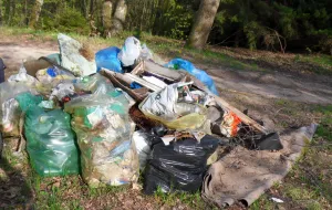 Ministerstwo wypowiada wojnę śmiecącym w lasach. Zaostrzenie kar