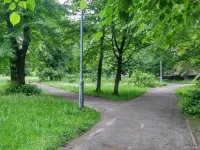 Park Steffensów trafi do rejestru zabytków