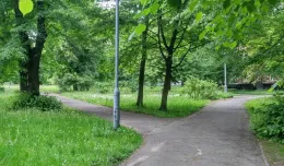 Park Steffensów trafi do rejestru zabytków