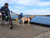 Michał Drzewucki chce dogonić psa. Potrzebny mu wózek z przystawką rowerową