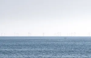 Morze możliwości. Co morskie farmy wiatrowe mogą dać regionowi Pomorza?