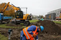 Ogród deszczowy w centrum Gdańska. Uchroni przed powodzią?