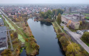 Nowe tereny rekreacyjne nad Opływem Motławy. Gdańsk szuka wykonawcy robót
