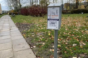 Gdynia: mieszkańcy sprzątają, więc torebki na psie odchody są niepotrzebne