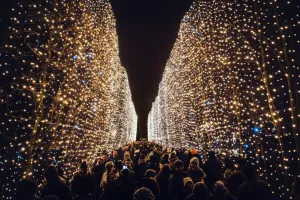 Część iluminacji przeniesiona z parku Oliwskiego do Reagana