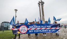 Demonstrowali poparcie dla Polski w UE