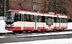 Nowy wygląd autobusów i tramwajów w Gdańsku