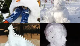 Wybierz najciekawsze zdjęcie rzeźby ze śniegu