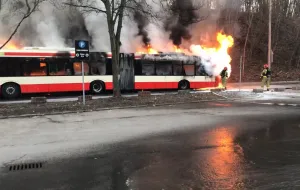 Gdańsk. Pożar autobusu miejskiego