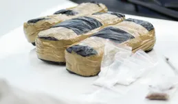 Łowcy cieni zatrzymali podejrzanego ws. przemytu 3 ton kokainy do Gdyni
