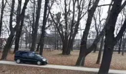 Jeździł autem po parku Steffensów