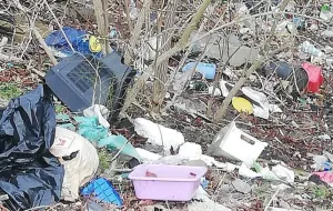 Śmieci z ogródków działkowych są podrzucane gdzie popadnie