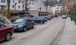 Część mieszkańców Działek Leśnych nie chce płatnego parkowania
