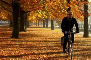 Jak ubrać się jesienią na rower? Poradnik dla mieszczuchów