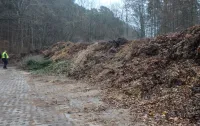 Sopot ukarany za zbieranie odpadów zielonych w lesie