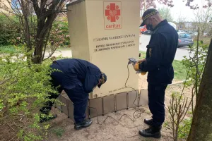 Szczury wyrzucone na Witominie. Interweniował Ekopatrol
