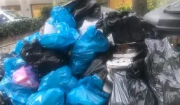 Podwórka w centrum Gdańska pełne śmieci