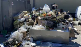 Szybko zabrane śmieci z centrum Gdyni