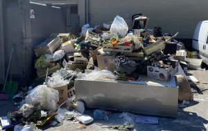 Szybko zabrane śmieci z centrum Gdyni
