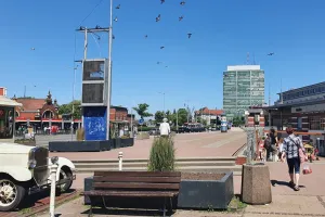 Jest projekt zasadzenia nowych drzew w centrum Gdańska