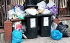 Kary skutecznie zachęcają do segregacji śmieci