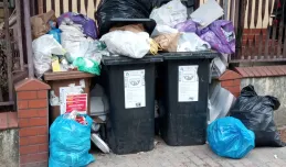 Kary skutecznie zachęcają do segregacji śmieci