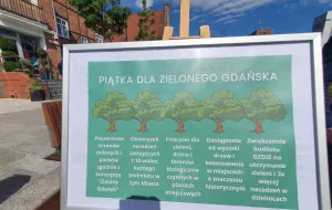 Nowa, zielona polityka Gdańska. Są dwa projekty