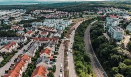 Gdynia: szpaler 110 drzew ozdobi ul. Strzelców