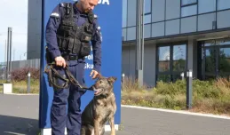 Luna przeszła na emeryturę. Policyjny pies spędzi ją ze swoim opiekunem